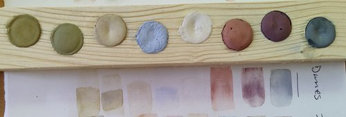 Dunes Watercolor Palette